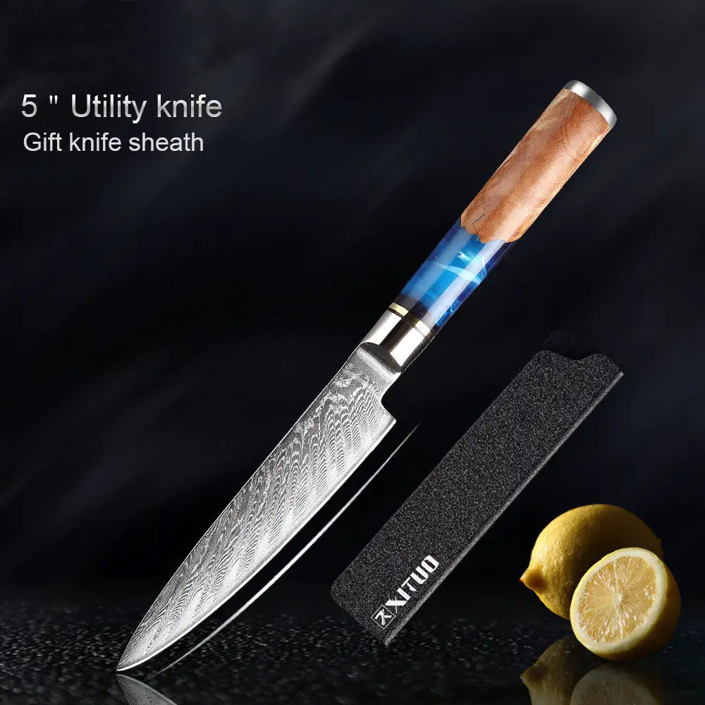 Japanese Damascus Professional Kitchen Knives (Silver Resin Handle)