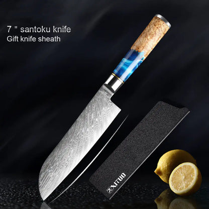 Japanese Damascus Professional Kitchen Knives (Silver Resin Handle)